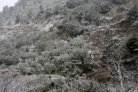意大利南部冬季景观2018年1月3日。