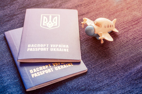一个小玩具飞机和两个蓝色乌克兰护照