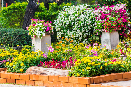 夏日温馨的家花花园