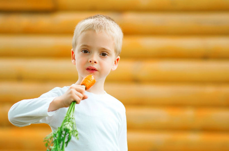 可爱的学龄前金发小男孩胡萝卜。 孩子们在户外吃饭。 健康的有机蔬菜作为儿童和幼儿园儿童的零食