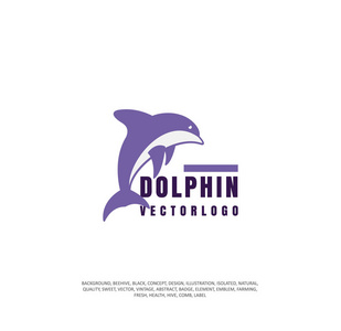 海豚矢量插图野生动物图标, 海洋图像