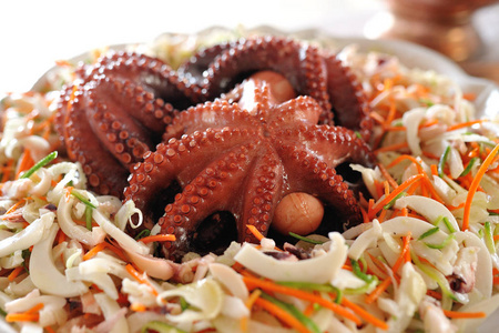 美味的章鱼在海沙拉