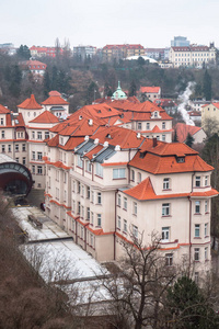 布拉格捷克共和国屋顶的景色
