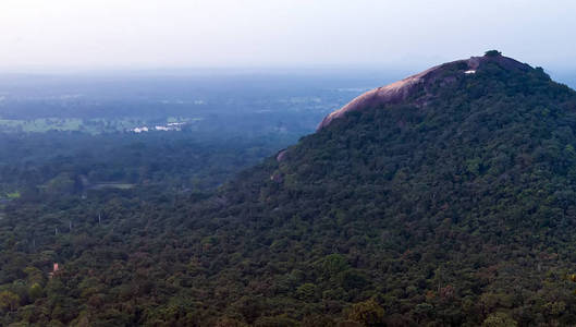 Pidurangala 山从锡吉里亚岩石或 Sinhagiri 空中 pano
