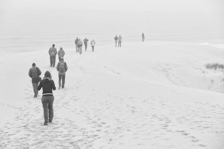 在冬天海滩雾和人民