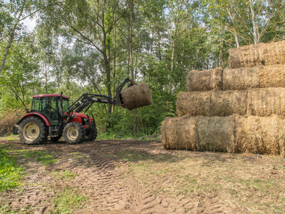 波兰，2016年8月13日拖拉机重新布置大捆稻草