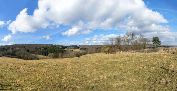 Taunus 地区乡村景观全景图