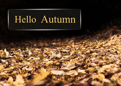 秋天文字和叶子的你好图片
