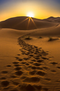 摩洛哥撒哈拉沙漠中的默祖加