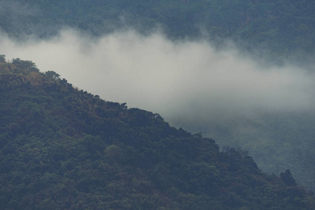 热带森林自然景观khaoyai国家公园泰国复古滤镜图像