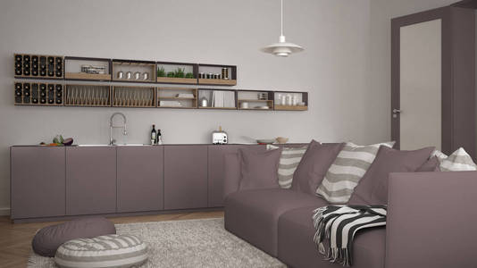 斯堪的纳维亚现代客厅与厨房, 沙发和毯子与枕头, 简约白色和红色建筑学室内设计