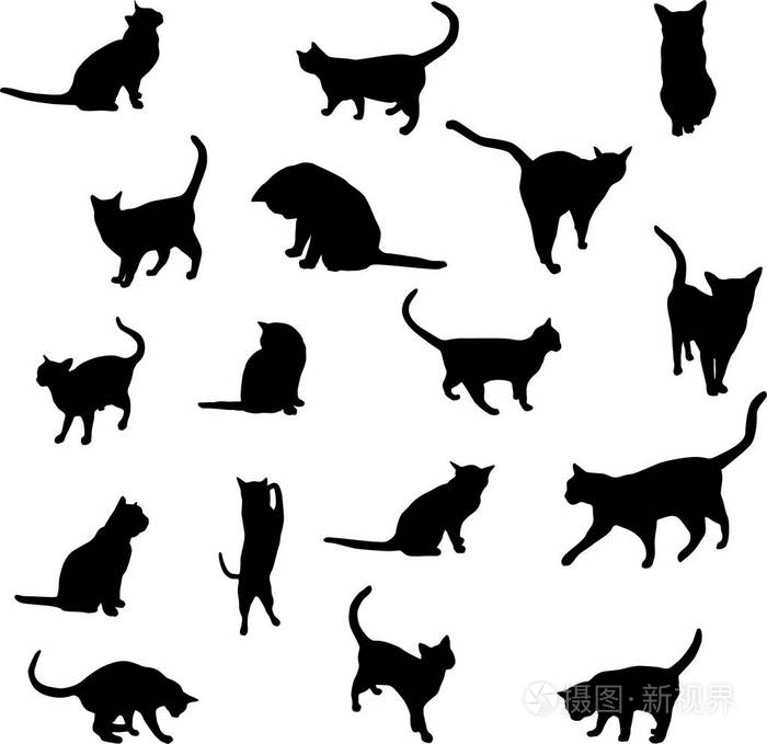 猫轮廓黑色白色背景设置