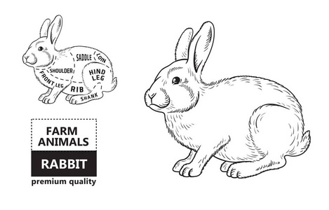 切的兔子。海报屠夫图为杂货, 肉商店, 屠夫商店, 农夫市场。兔子的剪影。矢量插图