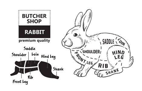 切的兔子。海报屠夫图为杂货, 肉商店, 屠夫商店, 农夫市场。兔子的剪影。矢量插图