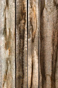 老抽象粗野木头纹理背景