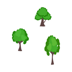 不同茂盛的叶子和树冠形状的绿树元素