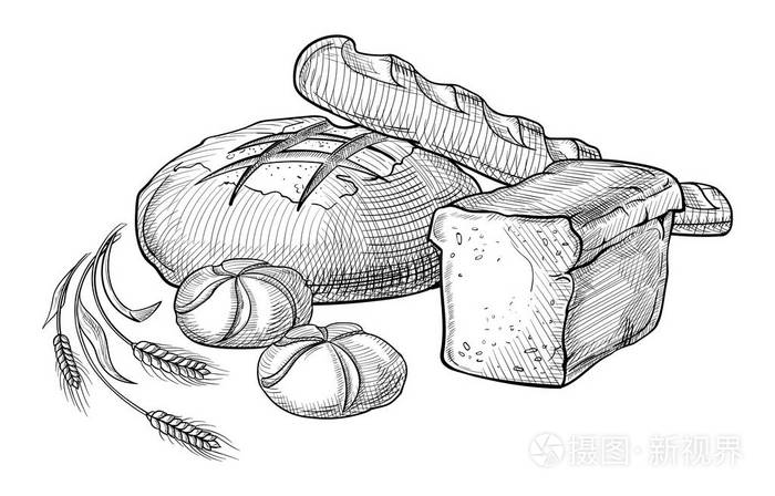面包矢量手绘集插图其他类型的小麦面粉新鲜的面包面筋食品面包店雕刻