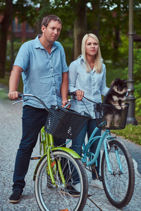 一对迷人的夫妇，一个金发女郎和一个穿着休闲服装的男人骑自行车，他们可爱的小斯皮茨在一个篮子里。