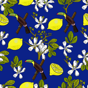 热带手画异国风情的收集与树叶, 柠檬, 柑橘花和犀鸟的无缝图案。包装, 墙纸, 纺织, 封面, 设计