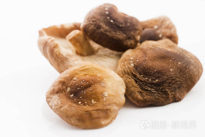 白色背景上的屎蘑菇