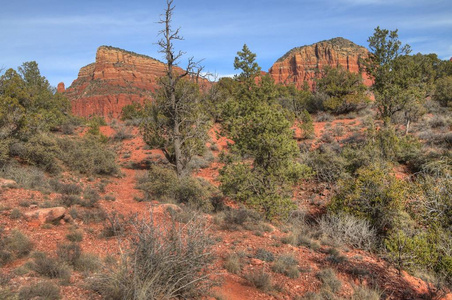 塞多纳, 亚利桑那州有美丽的橙色岩石和支柱在沙漠