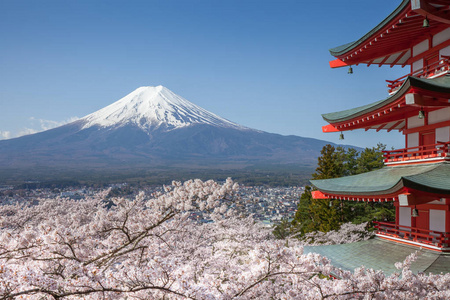 日本美丽的风景山富士山和朱雷托红塔与樱花