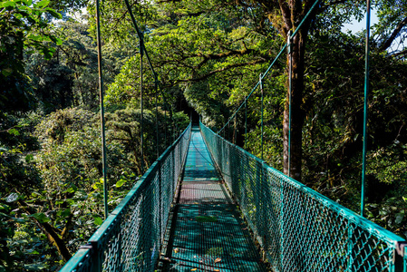 悬挂在云林蒙特维德哥斯达黎加的桥梁。