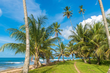 普拉亚可可热带海滩靠近波多黎各维约哥斯达黎加。