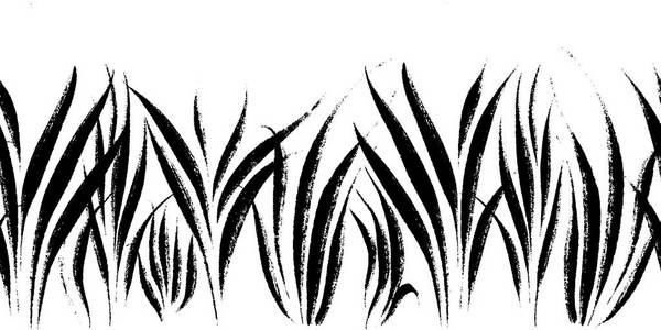 矢量无缝边框与墨画草, 艺术植物学插图, 分离花卉元素, 手绘可重复插图