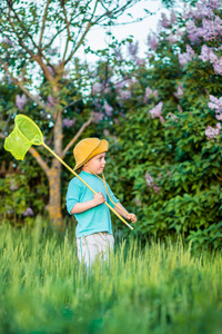 一个迷人的孩子在一个温暖阳光明媚的夏日或春天, 在草地上玩独家新闻