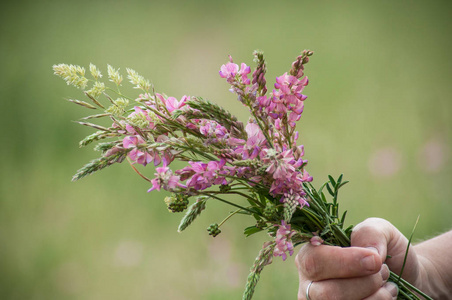 在草地上，女人手中捧着一束野人的鲜花