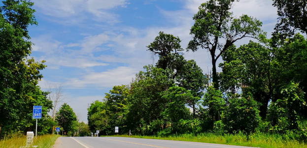 有树的山路。景区路线有绿树长空..去泰国旅行。