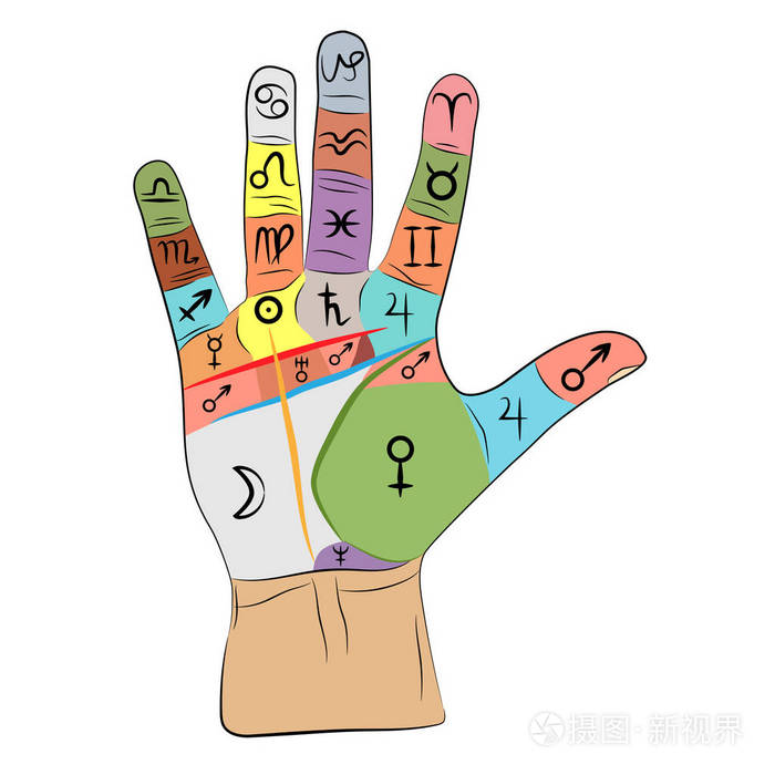 双手信息图手掌矢量绘图插图