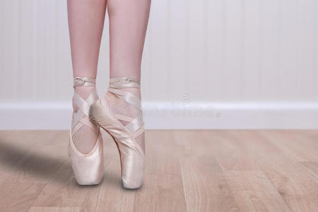 完美的芭蕾舞演员图片