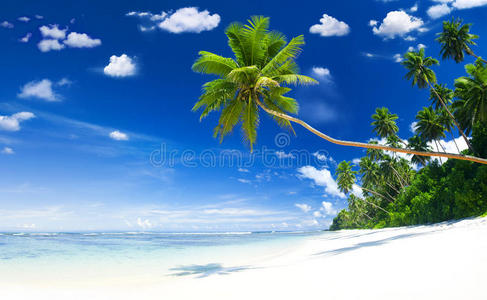 美丽的热带海岸蓝天