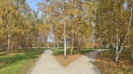公园里的秋影
