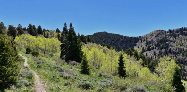 徒步旅行路径的Oquirrh山沿瓦萨奇前面的岩石山，由Kennecott RioTinto铜矿Tooele和大盐湖山谷在春天。 