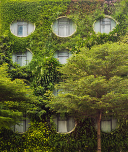 吉隆坡的一座建筑覆盖着绿色植物
