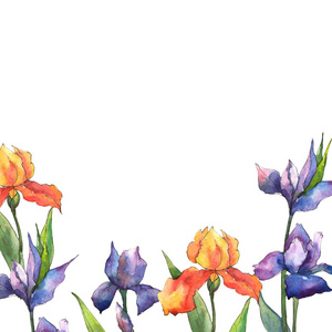 五颜六色的虹膜。植物花。框架边框点缀广场..背景纹理包装图案框架或边框的野花。