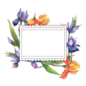 五颜六色的虹膜。植物花。框架边框点缀广场..背景纹理包装图案框架或边框的野花。