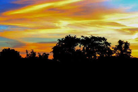 日落，美丽的彩色景观和剪影树，天空黄昏的时候