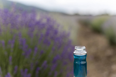 一瓶薰衣草精油在美丽的薰衣草田野背景上