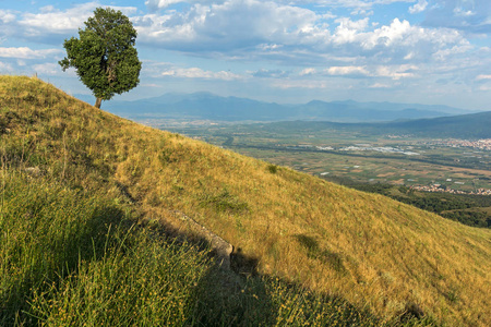 保加利亚奥格拉日登山布拉戈耶夫格勒地区日落景观