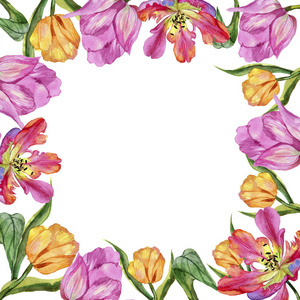 五颜六色的夏日郁金香。 花卉植物花。 框架边框装饰广场。 背景纹理包装图案框架或边框的水花野花。