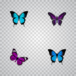 一套美丽逼真的符号与 polyommatus 伊卡洛斯, 夏季昆虫, 条纹紫色乌鸦和其他图标为您的 web 移动应用程序徽标设计