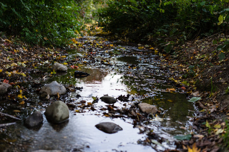 秋秋季节公园水反射自然景观