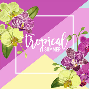 你好夏热带设计。热带兰花花卉背景为海报, 销售横幅, 标语牌, 传单。花卉葡萄酒的组成。矢量插图