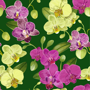 与兰花花的无缝热带图案。花的背景为织品纺织品, 墙纸, 包装。水彩花设计。矢量插图