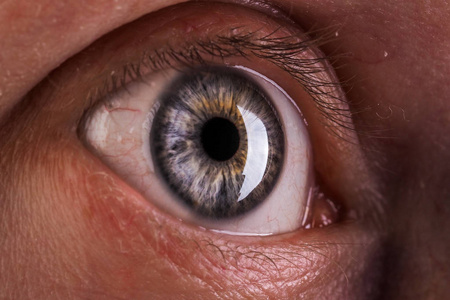 人眼虹膜瞳孔眼睫毛眼盖子的宏观照片。
