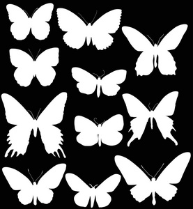 插图与蝴蝶剪影收集隔离在黑色背景